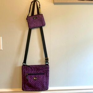 Previously loved Coach snake print cross body with matching wristlet